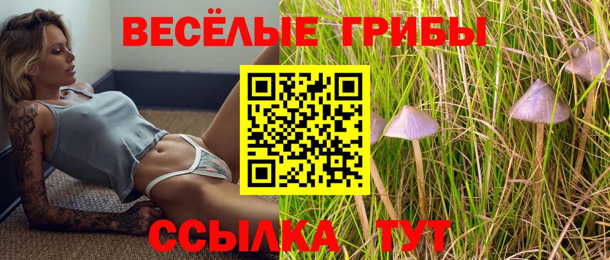 Галлюциногенные грибы прущие грибы Кировск