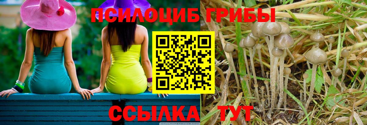 Галлюциногенные грибы Magic Shrooms  Вход с VPN  Кировск 